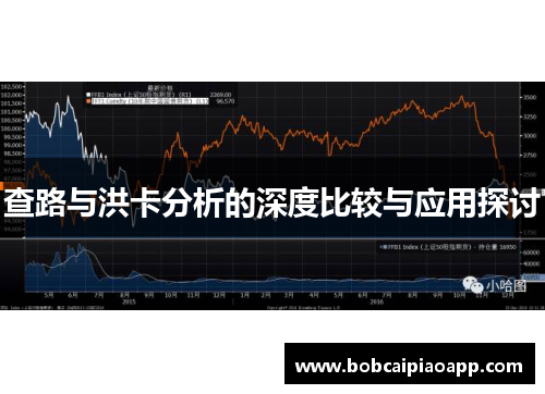 查路与洪卡分析的深度比较与应用探讨