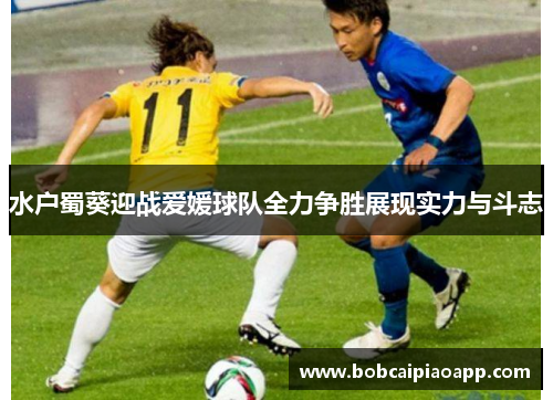 水户蜀葵迎战爱媛球队全力争胜展现实力与斗志
